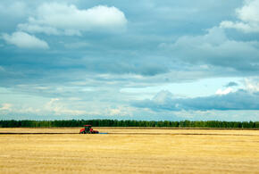 Рассказываем, как это работает на примере озимых, кукурузы и подсолнечника