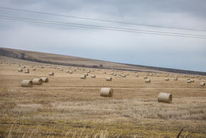 Господдержка поможет фермерам восстановиться после засухи, нарастить производство зерна, молока и других продуктов