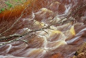 Сильно выпила и угодила в ловушку: в Сочи женщина упала в ручей и не могла выбраться 