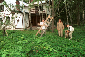 Сколько денег на обустройство дачи тратят краснодарцы
