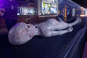 Наблюдения фиксируют в трех конкретных точках Тихого океана