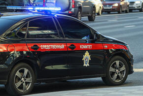 Странная и ужасная история: тело изрезанного ребёнка нашли в арендованной квартире. А подозреваемая - мать