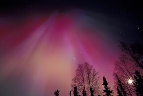 Гороскоп на 7 марта 2026 года для всех знаков зодиака