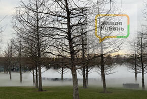 Жители и гости города, которые в минувшие выходные посетили жемчужину Юга, терялись в догадках при виде белой дымки