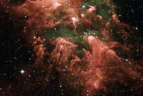 Тельцов вознаградят за труды, а Водолеи легко решат профессиональные задачи