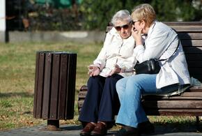 Разговор на скамейке в парке