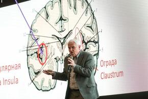 Рисунок мозга