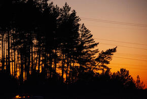 Украина ударила по нефтебазе в Тихорецке, девочку нашли мёртвой в Новороссийске: ТОП-5 за 15 марта