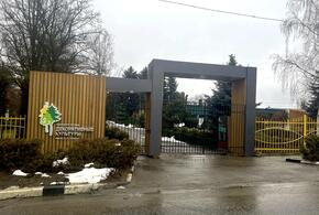 Армавирский питомник декоративных культур