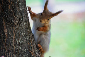 В этом полугодии у россиян ещё трижды будут трёхдневные выходные