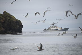 В Геленджике сорвался со скалы чемпион Белоруссии по мотогонкам