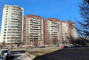 Однокомнатное жилье остается самым популярным