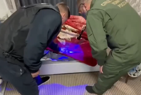 В Краснодарском крае 15-летний сын убил своего отца, начинается суд