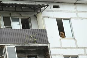 В Краснодарском крае отремонтируют 586 многоквартирных домов и заменят 197 лифтов