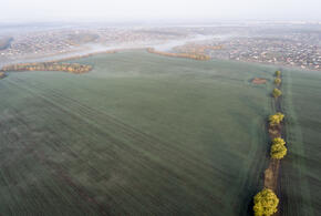 В Новосибирске людям выплачивают деньги за убийство скота, Трамп сказал, что будет, если Ормузский пролив не откроют через 48 часов: что произошло, пока вы спали