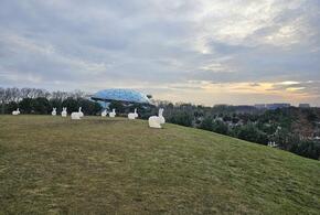 Парк Галицкого