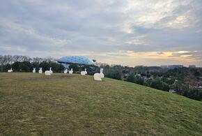 В парке Галицкого в Краснодаре создают гигантский искусственный кратер с висячим садом