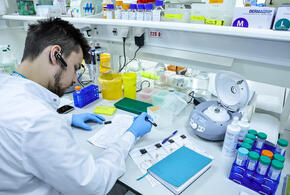 В течение 10 лет в России начнут регистрировать первые искусственно выращенные органы