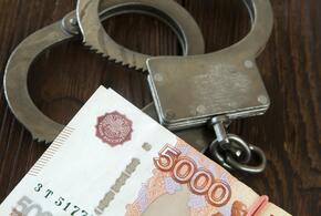 Женщине предстоит выплатить крупный штраф