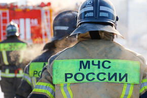 Роспотребнадзор выявил превышение токсинов 