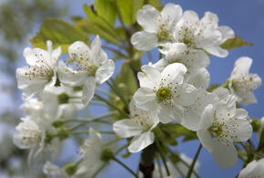  Краснодарский край в это время года преображается