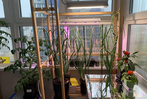 Владельцам захламлённых балконов «прилетит» штраф до 15 тысяч рублей