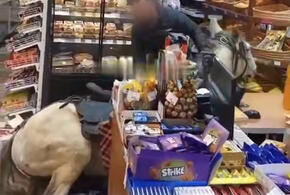 Всадник на белом коне учинил разгром в продуктовом магазине в Красной Поляне