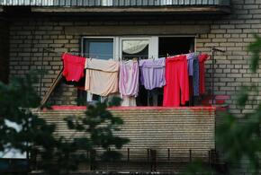 Расскажем, с чем связан запрет