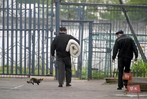 Жителя Краснодарского края приговорили к 10 годам за вербовку к террористам