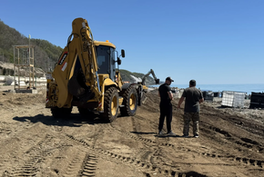 Берег в Туапсе чистят от нефтепродуктов, сам город – от сажи, волонтёры находят животных в мазуте. Что происходит на месте экологической катастрофы?