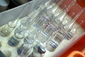 Бессмертие возможно? Российские учёные работают над вакциной от старения