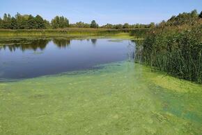 Без помощи и ответов: семья из Туапсе три месяца ищет пропавшего отца