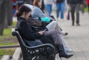 Рейтинг наиболее популярных материалов «Живой Кубани» за сегодня 