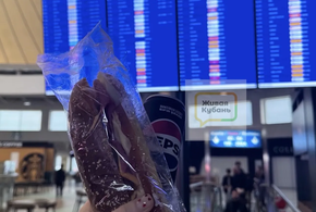 Дело не только в задержке вылетов: о подводных камнях рассказали пассажиры, вылетающие в аэропорты Краснодарского края. Личный опыт