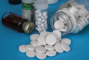 Фальсификат