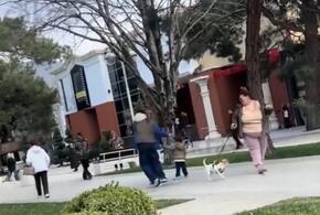 Фекалии в лицо: в Геленджике девушка швырнула экскременты в хозяйку собаки