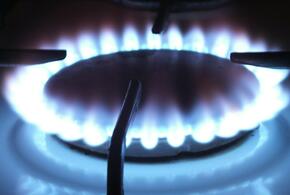 Газовая конфорка