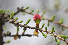 Где будет 23 градуса тепла? Погода в Краснодарском крае на выходные