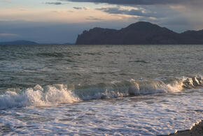  О результатах доложат лично Бастрыкину