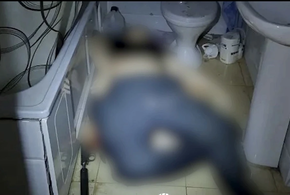 Главарь нейтрализован: теракт готовился против руководителей Роскомнадзора