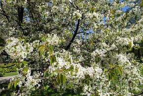 Академик РАН рассказал, почему лучше отложить дальнее путешествие до лета