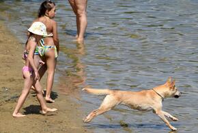 Известны три пляжа в Анапе, которые откроют этим летом