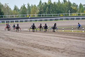 Основатель холдинга считает решение несправедливым