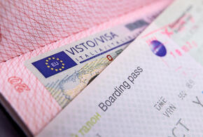 Разбираем детали по срокам и требованиям