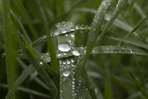 Как утром быстро наполнить своё тело энергией: новые привычки