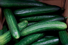 Зачем употреблять продукт, который был подвержен множественной обработке?