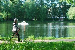 Скандинавская ходьба