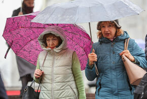 Компании РФ пересматривают кадровые стратегии: растёт доля работников старшего поколения