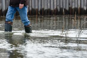 Люди объединились, чтобы помочь пострадавшим от наводнения в Дагестане: как отправить вещи нуждающимся?