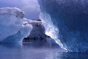 Айсберги